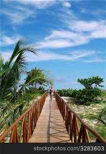 Walkway to tropical beach.
