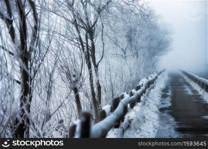 Walkway to winter frost