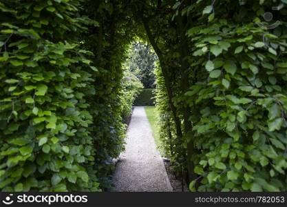 Walkway with green trees in a beautiful garden colorful. Walkway with green trees in a beautiful garden