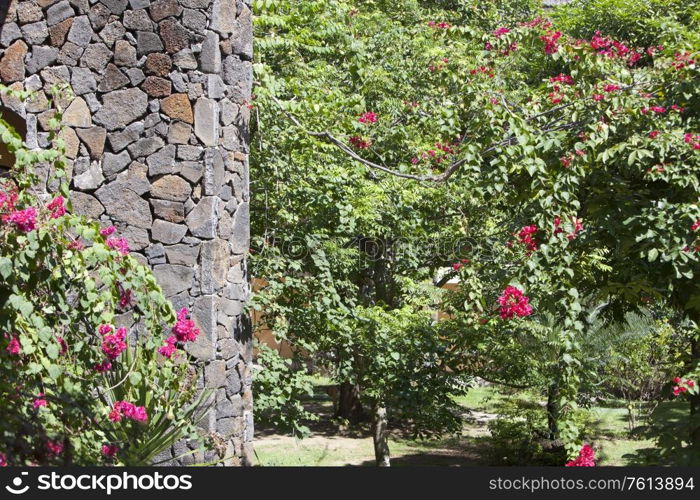 wall from large pieces of a stone in a surrounding of tropical plants