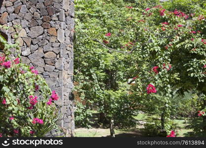 wall from large pieces of a stone in a surrounding of tropical plants