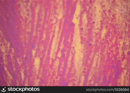 Wall surface painted of various colors as abstract background texture