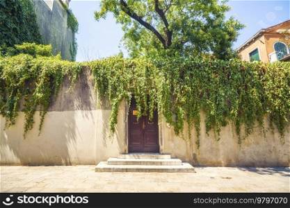 Wall with a door and a small stairway in the summer with climbing ivy