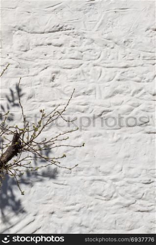 Wall with a part of a tree as a background
