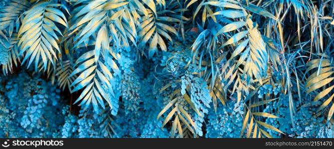 Wall with tropical plants. Nature blue (turquoise) background.