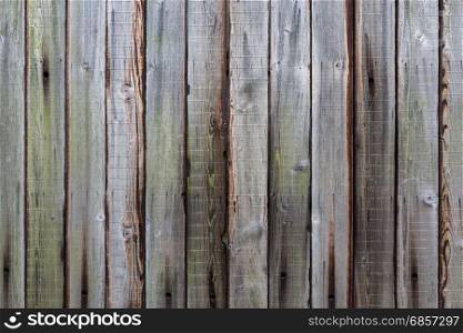 Wall with wooden planks.