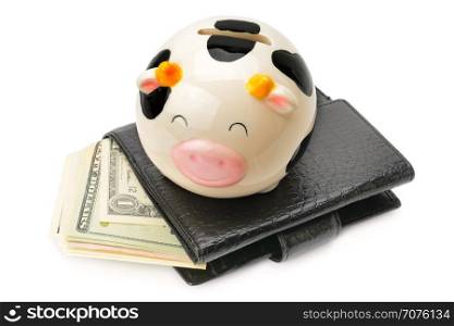 Wallet with dollars and piggy bank isolated on white background