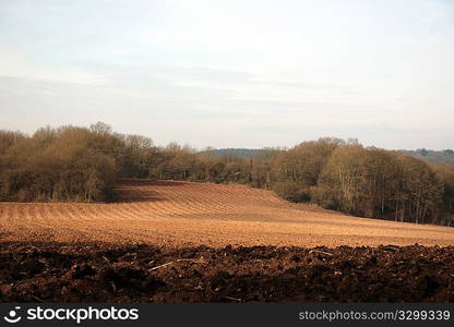 Wallonie, La Molignee, Belgium, Europe