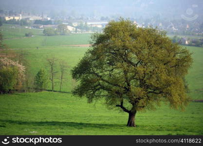 Wallonie, Senenne, Belgium