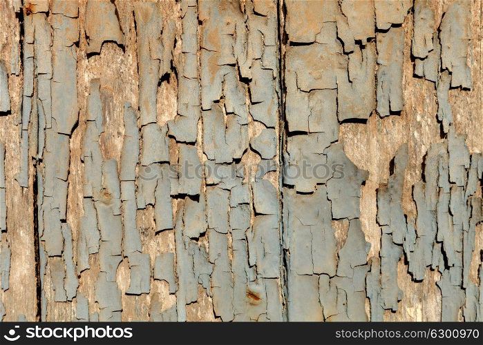 Wallpaper weathered wood with grey paint