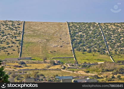 Walls of Pag island stone desert, traditional architecture of Croatia