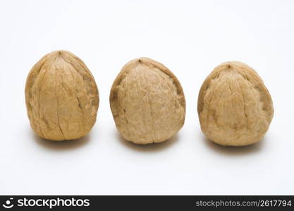 Walnut