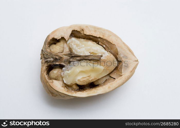 Walnut