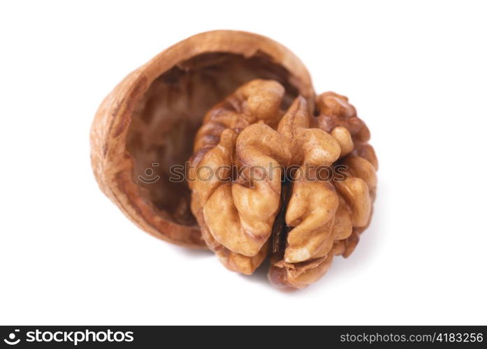 Walnut and shell isolated on white background