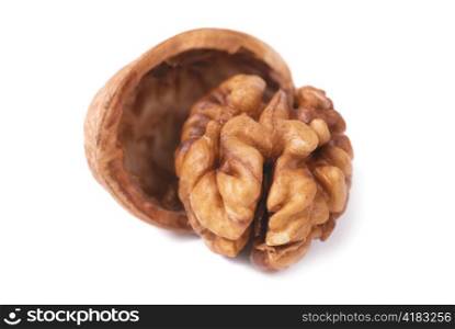 Walnut and shell isolated on white background
