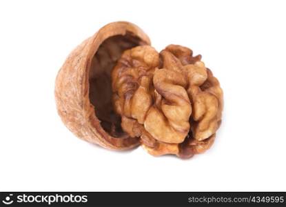 Walnut and shell isolated on white background