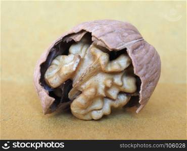 walnut fruit food. walnut food with open nut shell showing the edible fruit inside