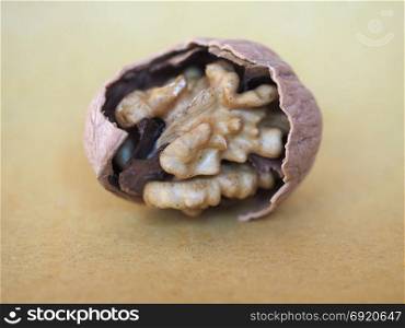 walnut fruit food. walnut food with open nut shell showing the edible fruit inside