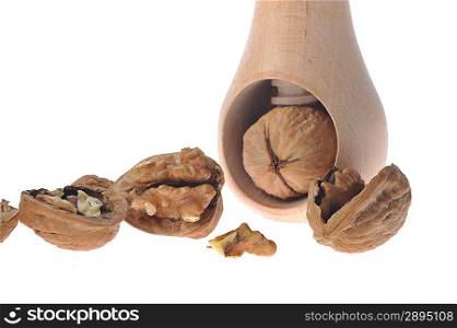 walnut inserted into nutcracker on white