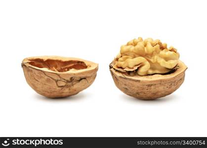 walnut isolated on a white