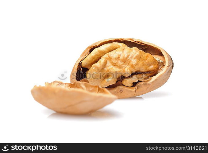 Walnut. Isolated over white.