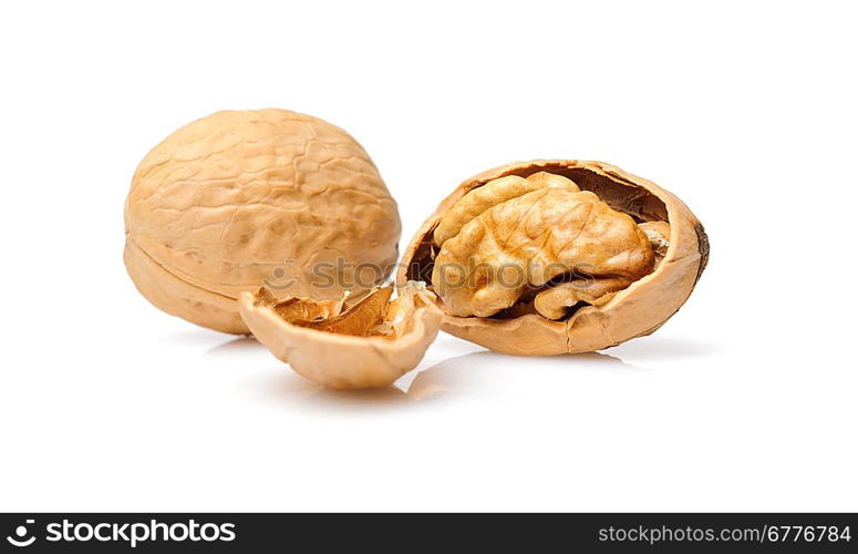 Walnut. Isolated over white.