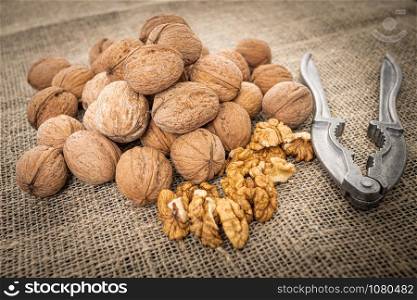 Walnut kernel background. Nutcracker with walnut