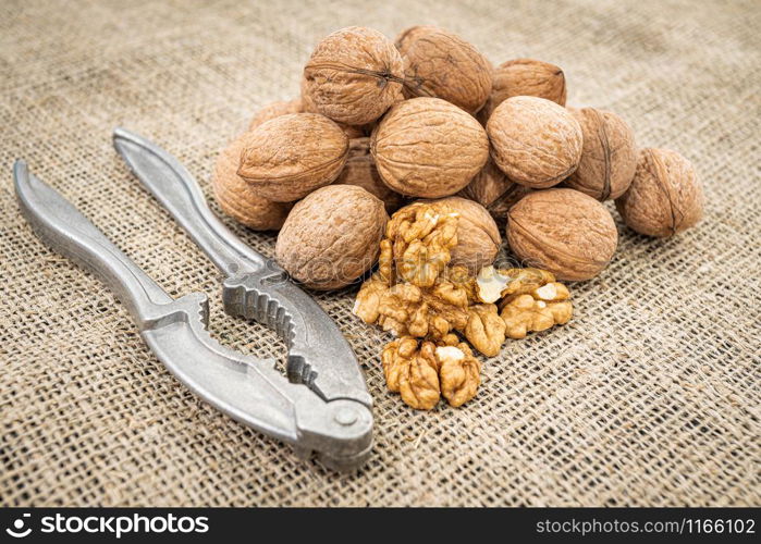 Walnut kernel background. Nutcracker with walnut