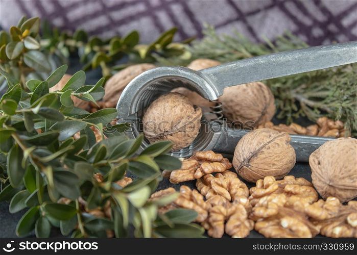 Walnut kernels near whole nuts on a dark, black background with green branches.. Nuts and walnut kernels on a black, dark background with green sprigs.