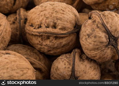 Walnut nut close up photo for a background