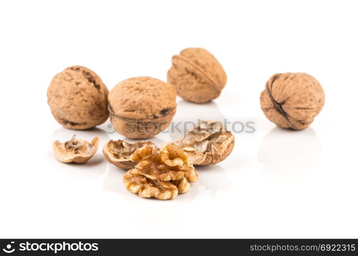 Walnut nut closeup isolated on a white background