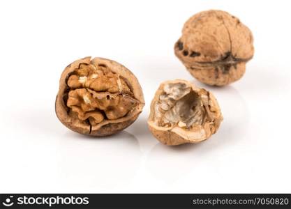 Walnut nut closeup isolated on a white background
