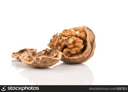 Walnut nut closeup isolated on a white background