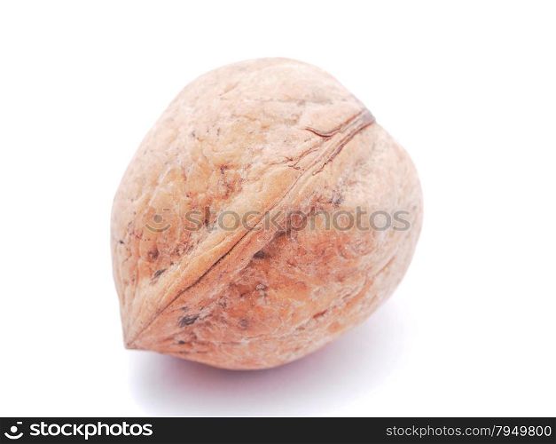 walnut on a white background
