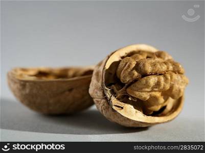 walnut over grey background still-life. is not isolated image