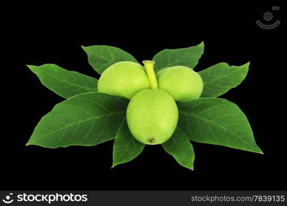 Walnut with leaves isolated on black background