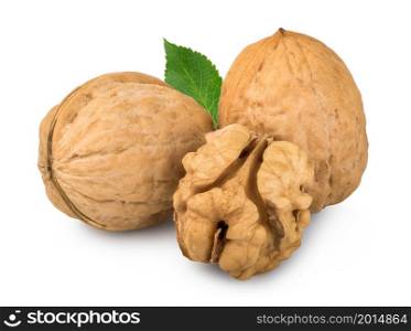 Walnuts and green leaf isolated on a white background. Walnuts and leaf