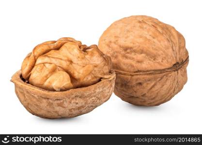 Walnuts close up isolated on a white background. Walnuts close up