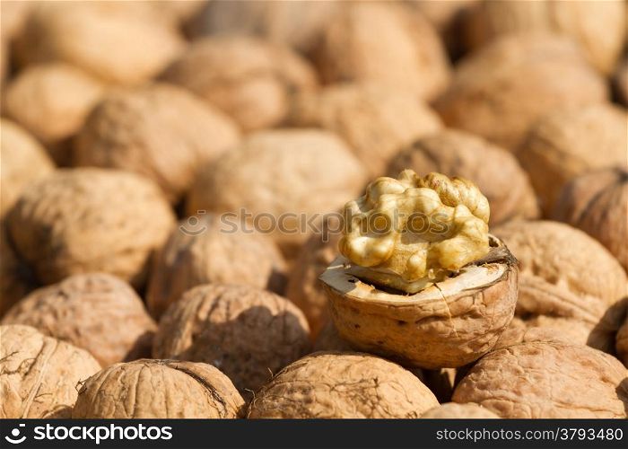 Walnuts fruit on background texture