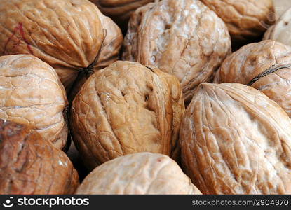 walnuts in shell, vegetable eating food