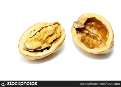 walnuts isolated on a white background