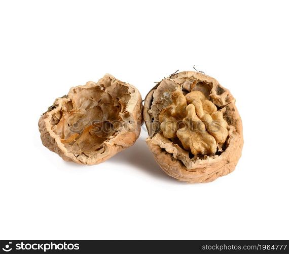 Walnuts isolated on white background, close up