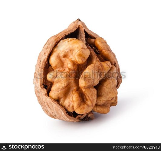 walnuts. walnuts isolated on white background