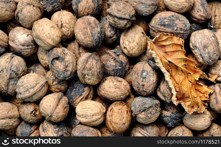 walnuts with a leaf background