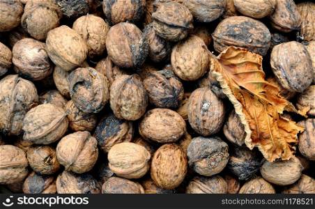 walnuts with a leaf background
