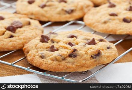 Warm, golden brown, chocolate chip cookies cooling on a rack. Shallow depth of field.