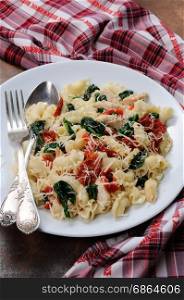 Warm salad pasta with chicken, sun dried tomatoes, spinach, pepper and flavored parmesan cheese