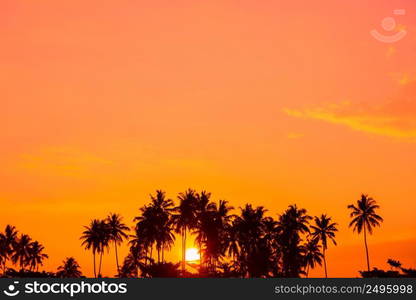 Warm tropical sunrise with palm trees silhouettes