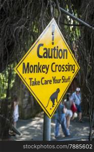 Warning sign against monkeys crossing the road and taking care of your stuff