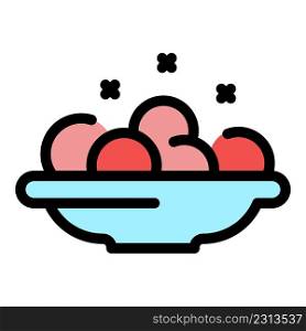 Washing plate icon. Outline washing plate vector icon color flat isolated. Washing plate icon color outline vector